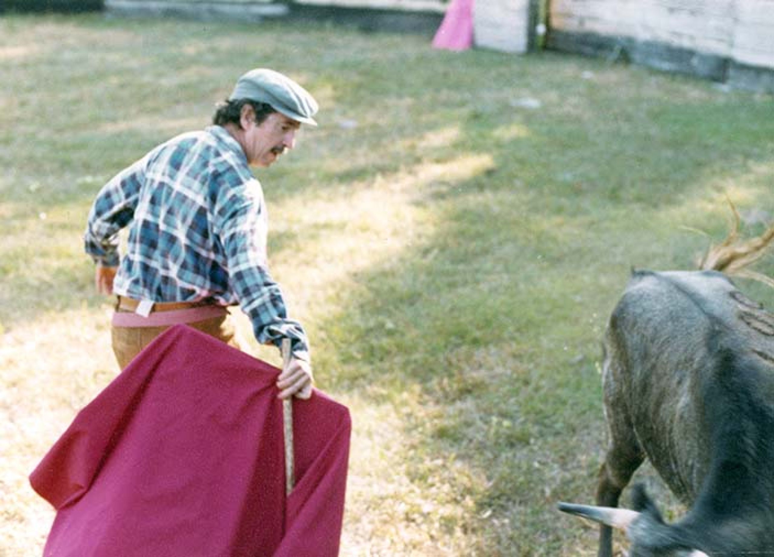 Mario Laserna toreando con capote rosa y amarillo tomada de espaldas